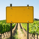 découvrez le rendement financier moyen d'un hectare de vigne, les facteurs qui influencent sa rentabilité et les conseils pour optimiser vos investissements viticoles.