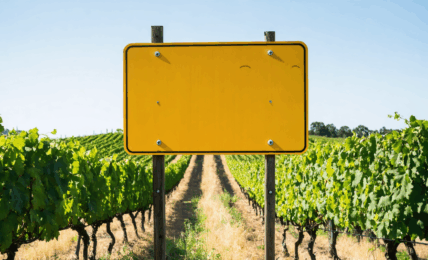 découvrez le rendement financier moyen d'un hectare de vigne, les facteurs qui influencent sa rentabilité et les conseils pour optimiser vos investissements viticoles.