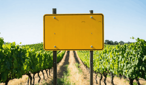 découvrez le rendement financier moyen d'un hectare de vigne, les facteurs qui influencent sa rentabilité et les conseils pour optimiser vos investissements viticoles.