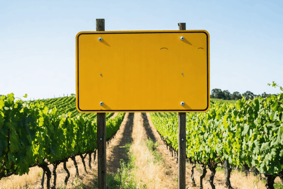 découvrez le rendement financier moyen d'un hectare de vigne, les facteurs qui influencent sa rentabilité et les conseils pour optimiser vos investissements viticoles.