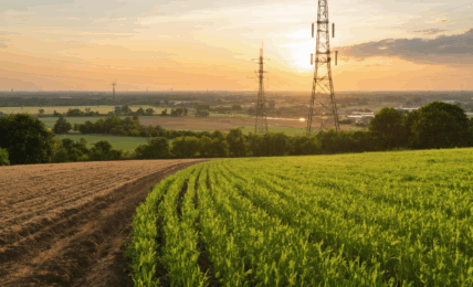 découvrez combien peut rapporter l'installation d'une antenne-relais sur votre propriété, les critères influençant le montant perçu et les points à considérer avant de signer un contrat avec un opérateur.